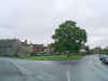 The tree in the village green - Click to enlarge